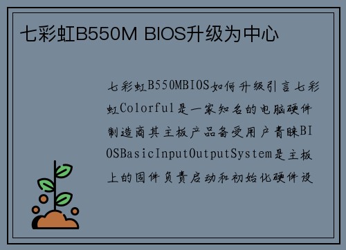 七彩虹B550M BIOS升级为中心